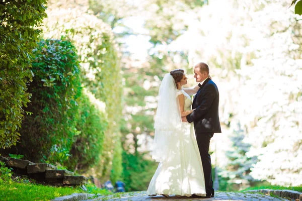 Bello sposo abbracciare bella sposa con bouquet in romantico parco europeo — Foto Stock