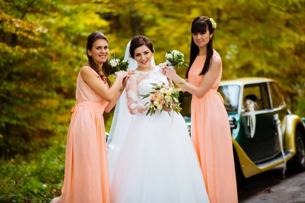 Trio av rosa brudtärna Posies — Stockfoto