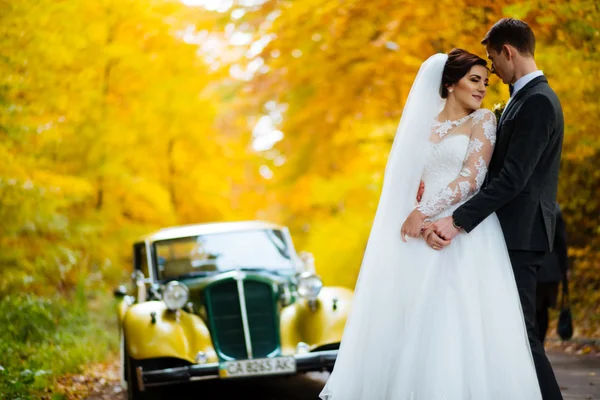 Прекрасная счастливая молодая невеста целует красивого жениха в солнечном парке — стоковое фото