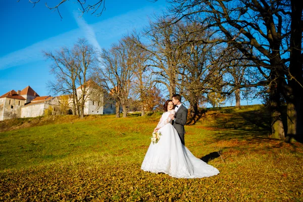 Beautiful happy young bride kissing handsome groom in sunlit park — Stock Photo, Image