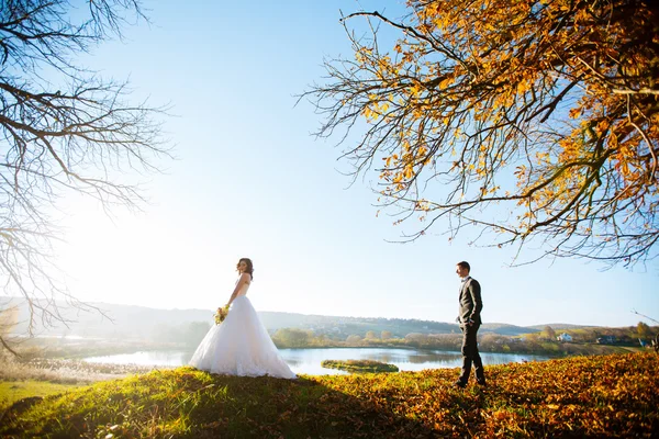 Vackra glad snygg brud med eleganta brudgummen på bakgrund av vackra träd i parken höst — Stockfoto