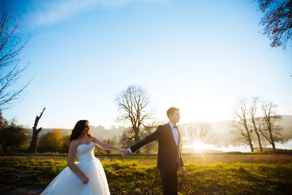 Красивая счастливая стильная невеста с элегантным женихом на фоне красивых деревьев в осеннем парке — стоковое фото