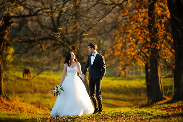 Heureux jeunes mariés souriants marchant à l'extérieur, embrassant et embrassant le jour de leur mariage — Photo