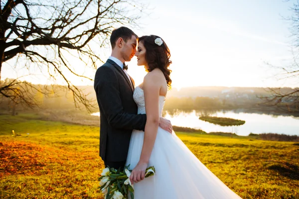 Vackra glada unga bruden kyssas stilig kusk i solbelysta park — Stockfoto