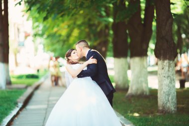 gorgeous happy blonde bride and elegant groom hugging on the background of trees in the city