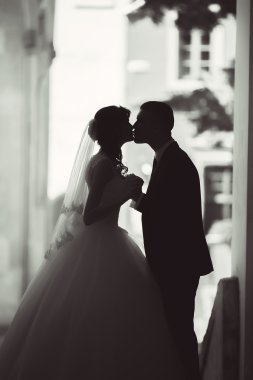 Mutlu gelin ve damat düğün günlerinde