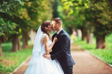 gelinlik içinde öpüşme genç bir çift. Gelin holding buket çiçek