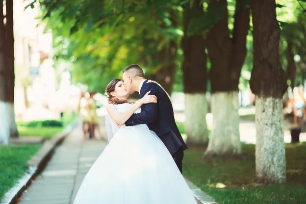 Gorgeous happy blonde bride and elegant groom hugging on the background of trees in the city — Stock Fotó