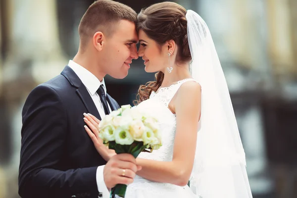 Hochzeit in lwow, lviv, lemberg, leopolis — Stockfoto