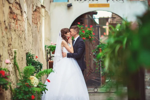 Wedding in Lwow, Lviv, Lemberg, Leopolis — Stock Photo, Image