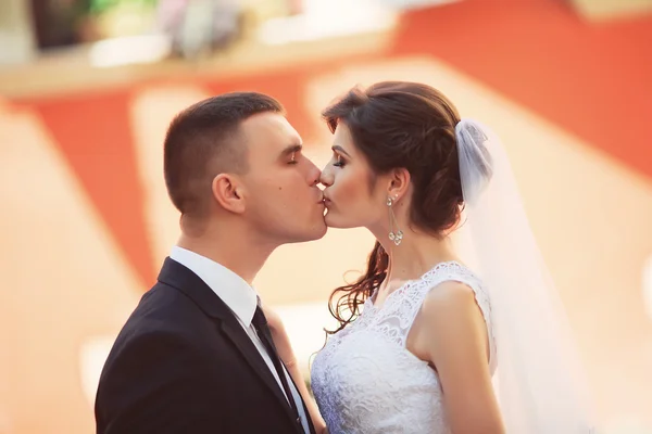 Casamento em Lwow, Lviv, Lemberg, Leopolis — Fotografia de Stock