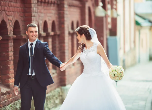 Gyönyörű esküvői, a férj és a feleség, a szerelmesek ember nő, a menyasszony és a vőlegény — Stock Fotó