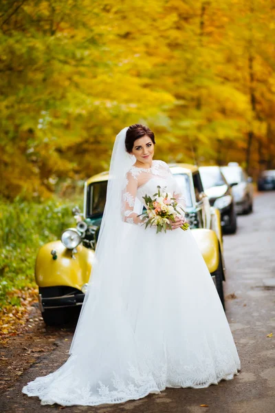 신부의 손에 있는 아름다운 원초적 인 결혼 부케 — 스톡 사진