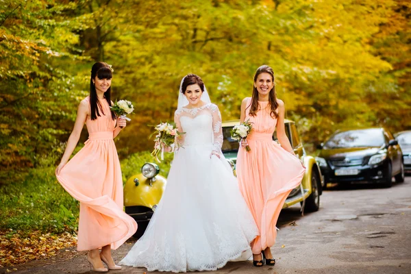 Bruid met de bruidsmeisjes op het park op de huwelijksdag — Stockfoto