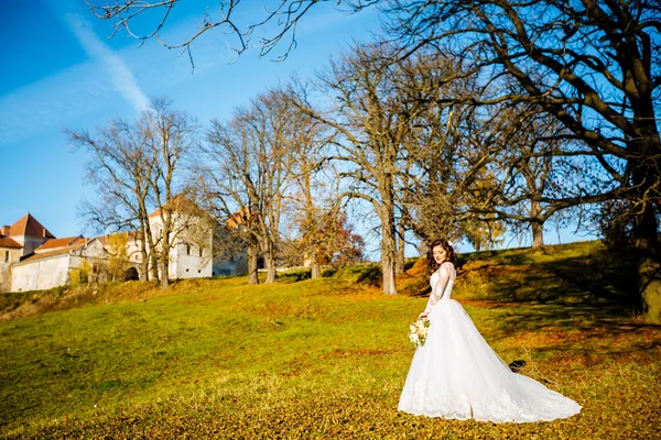 Luxus elegáns fiatal menyasszony a háttérben tavaszi napos zöld erdőben — Stock Fotó
