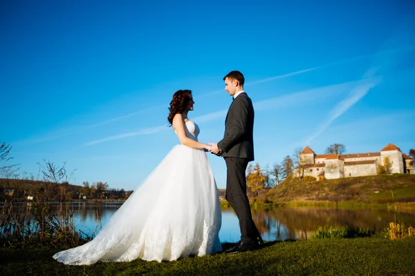 Noiva e noivo retratos de casamento na natureza — Fotografia de Stock