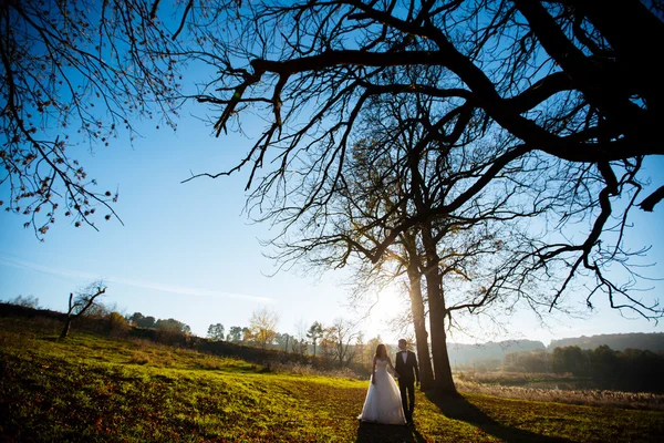 Vackra par glad snygg nygifta på en promenad i soliga sommaren park eller trädgård på deras bröllopsdag — Stockfoto