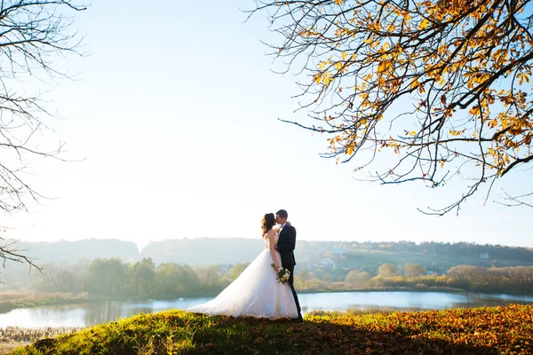 Kissing bride and groom in their wedding day near autumn tree