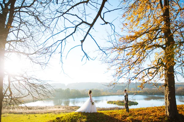 Lyxiga eleganta unga bruden och brudgummen på bakgrunden våren solig grön skog — Stockfoto