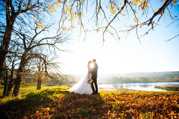 Beau couple de mariage au coucher du soleil — Photo