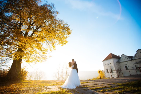 Lyckliga bröllop par charmiga brunett brud och brudgum dansar i parken — Stockfoto