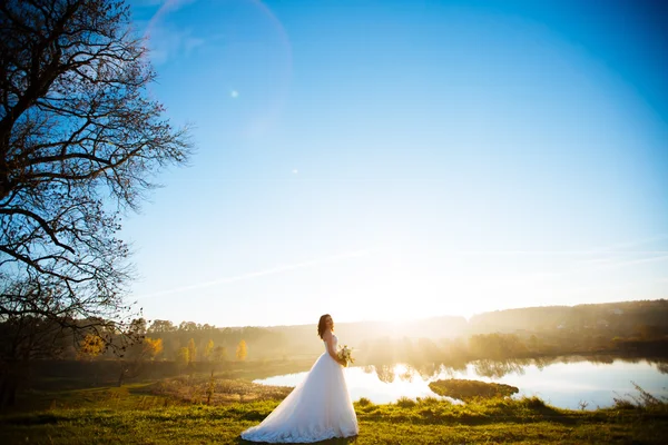 La novia en la orilla del río. la hermosa chica con el vestido de novia. la novia en un día soleado brillante. La novia pathos. la novia con un velo . — Foto de Stock