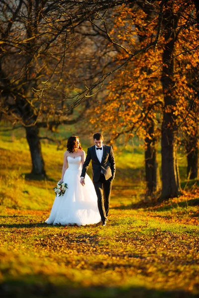 Gelin ve Damat Düğün Portreler doğada — Stok fotoğraf