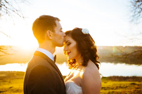 Beijar noiva e noivo em seu dia de casamento perto da árvore de outono — Fotografia de Stock