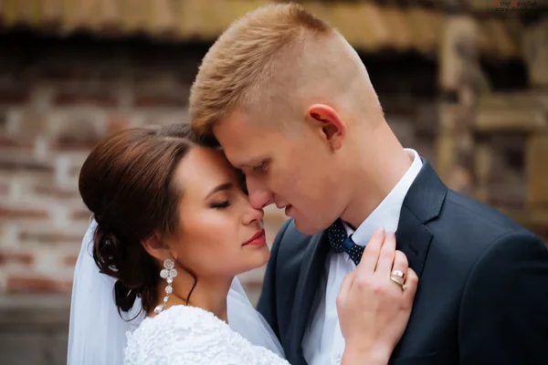 Novia y novio en el día de la boda caminando al aire libre. Matrimonio. Lovin. — Foto de Stock