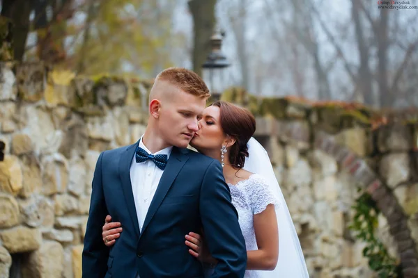 Casamento casal no castelo jardim beijo — Fotografia de Stock