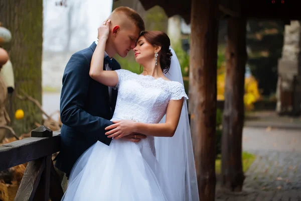 Novia de boda y novio besando pareja amorosa con ramo de rosas — Foto de Stock