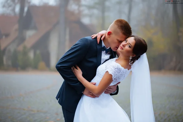 Boda hermosa pareja joven de pie en el bosque de fondo — Foto de Stock