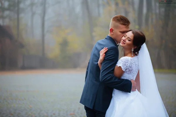 Coppia di sposi novelli, sposi che si tengono per mano e si baciano i — Foto Stock