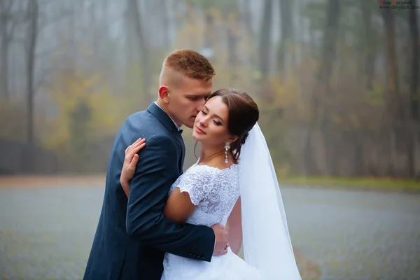 Mariage mariée et marié embrasser couple amoureux avec bouquet de roses — Photo