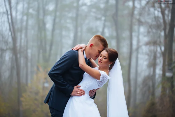 Mooie bruidspaar plezier in het park op hun bruiloft — Stockfoto