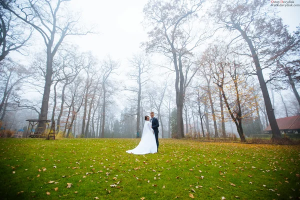 Belo casal de casamento no parque — Fotografia de Stock