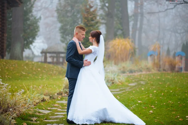 Mariage, couple baiser dans les collines près de la rivière au coucher du soleil. Vent — Photo