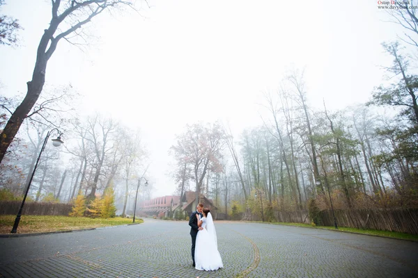 Mariage mariée et marié embrasser couple amoureux avec bouquet de roses — Photo