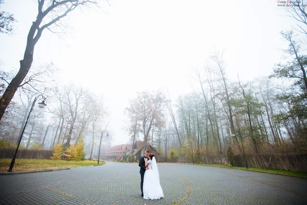 결혼식 신부 및 신랑의 장미 부케와 사랑 하는 커플 키스 — 스톡 사진