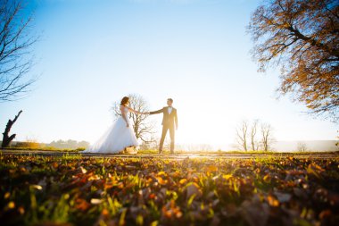 Yakışıklı damat ve güzel gelin yaz parkta poz