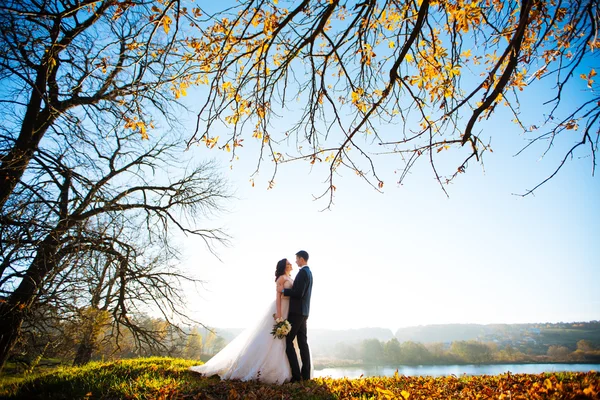 Bröllopsdag. Äktenskap. Bröllop promenad utomhus. Nygifta med bukett blommor. Bruden och brudgummen porträtt. Kärlek, känslor, ömhet. Äktenskapliga banden — Stockfoto