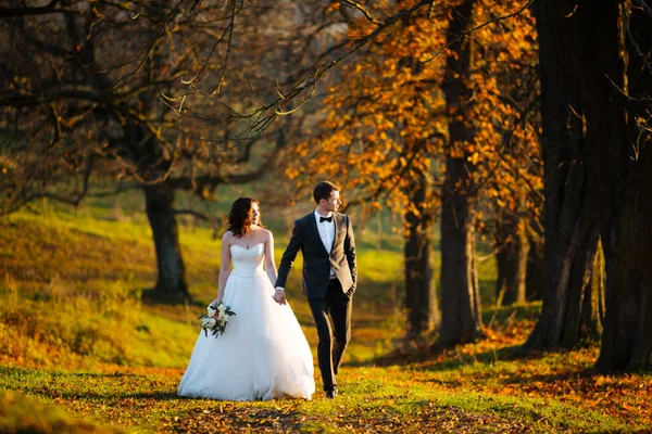 Güzel mutlu şık gelin güzel ağaçlar sonbahar Park arka plan üzerinde zarif damat ile — Stok fotoğraf