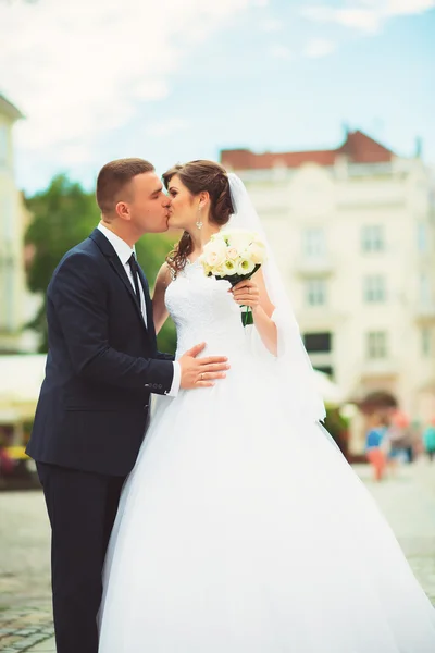 Casamento em Lwow, Lviv, Lemberg, Leopolis — Fotografia de Stock