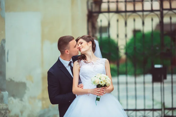 Casamento em Lwow, Lviv, Lemberg, Leopolis — Fotografia de Stock