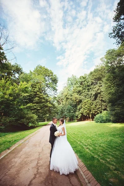 La coppia recentemente sposata che si bacia a vicolo in parco — Foto Stock