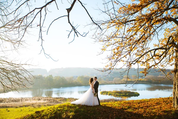 Bello sposo & bella sposa in posa nel parco estivo — Foto Stock