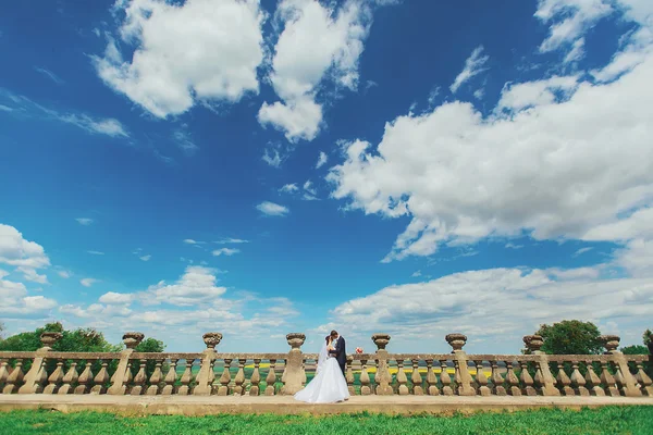 Gentle beautiful bride and groom holding hands kissing near the — Stock Photo, Image