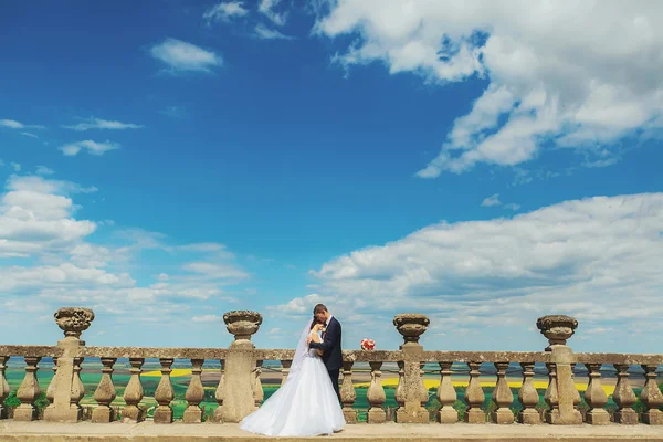 Gentle beautiful bride and groom holding hands kissing near the — Stock Photo, Image