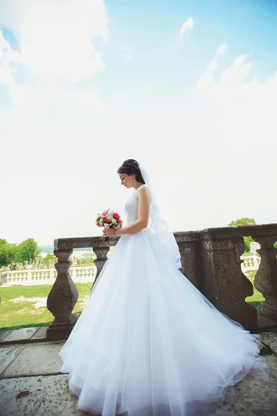 Beautiful elegant bride with   hair posing at the bal — Stock Photo, Image