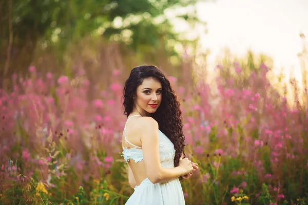 Donna con la bellezza lunghi capelli castani in piedi in campo — Foto Stock